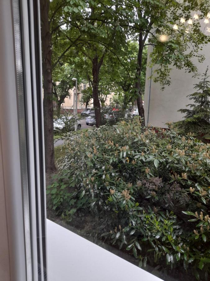 Appartement Pécs Park Extérieur photo